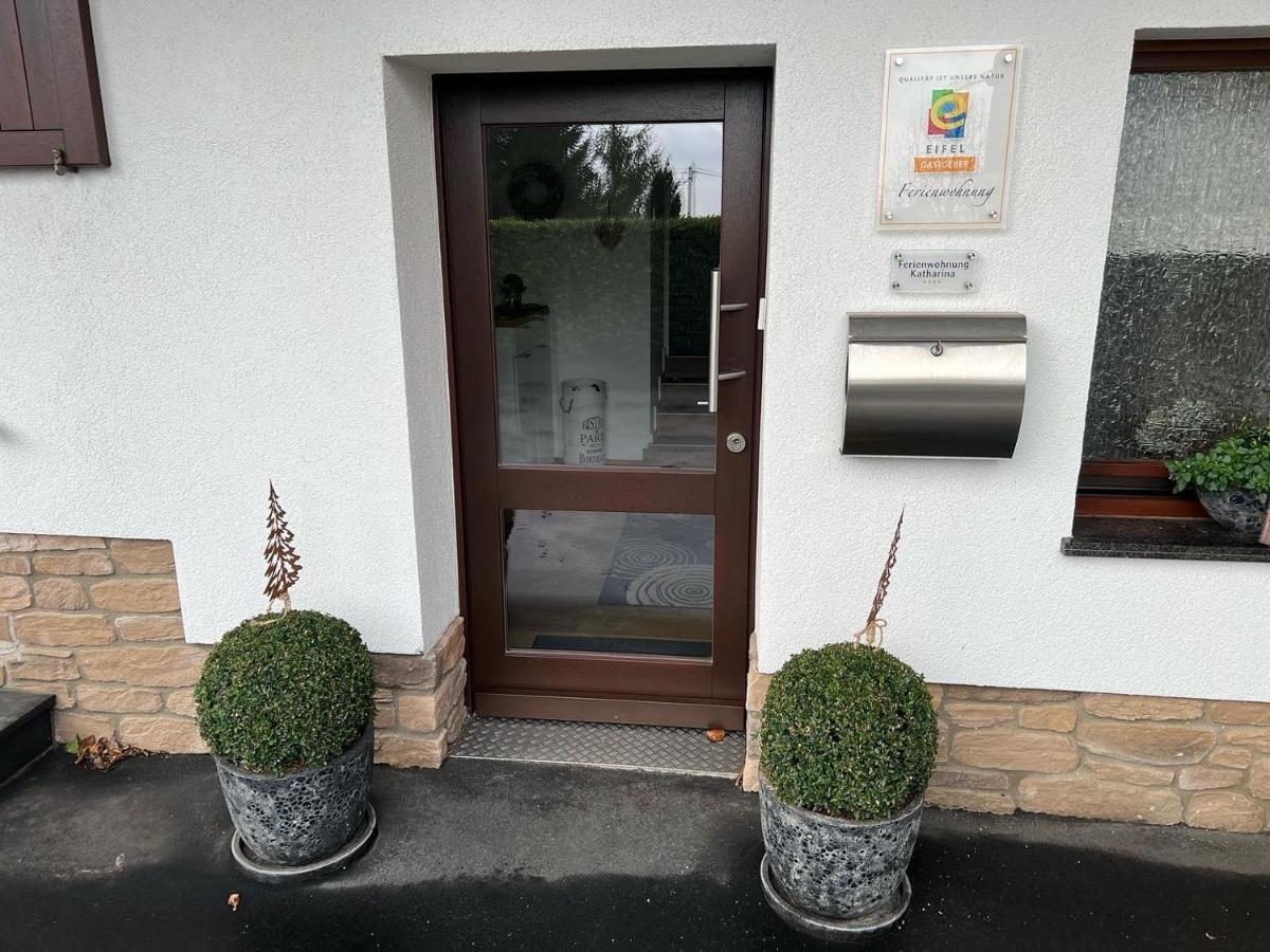 Ferienwohnung Katharina 4 Sterne Laut Dtv Wallbox 11Kw Nideggen Bagian luar foto